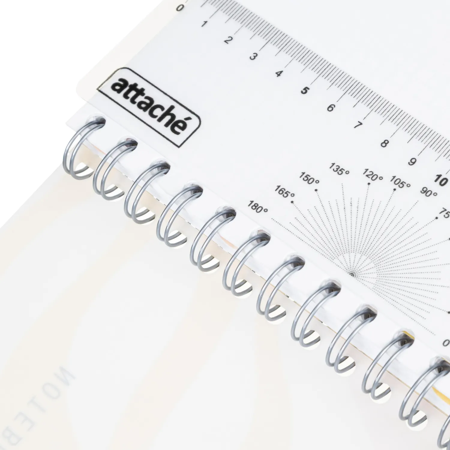 Бизнес-тетрадь 120л,клетка,А5 Flora 2,пласт.обл,серебр.спир,3раздел,линейка - фото 12