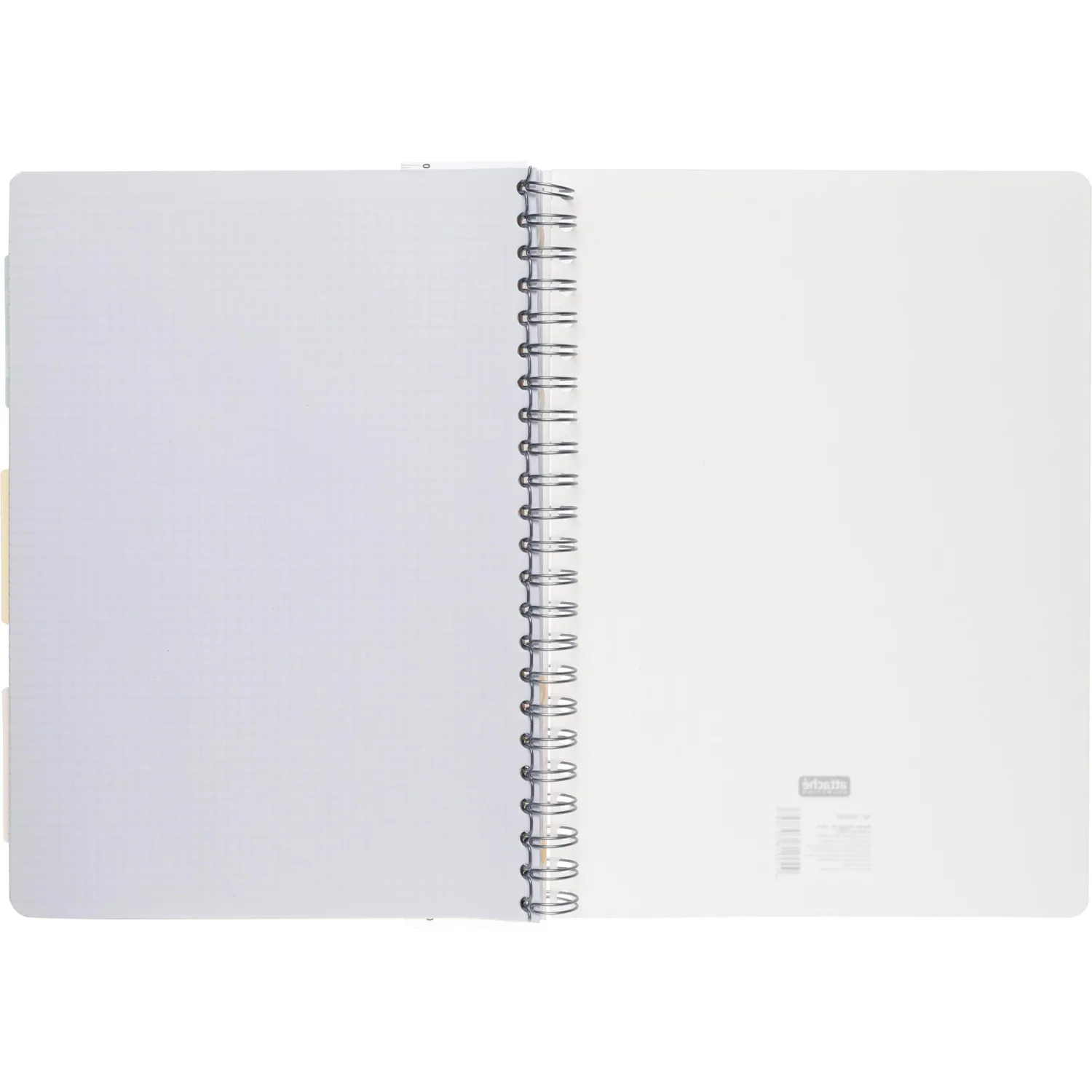 Бизнес-тетрадь 120л,клетка,А4 Flora 1,пласт.обл,серебр.спир,3раздел,линейка - фото 10