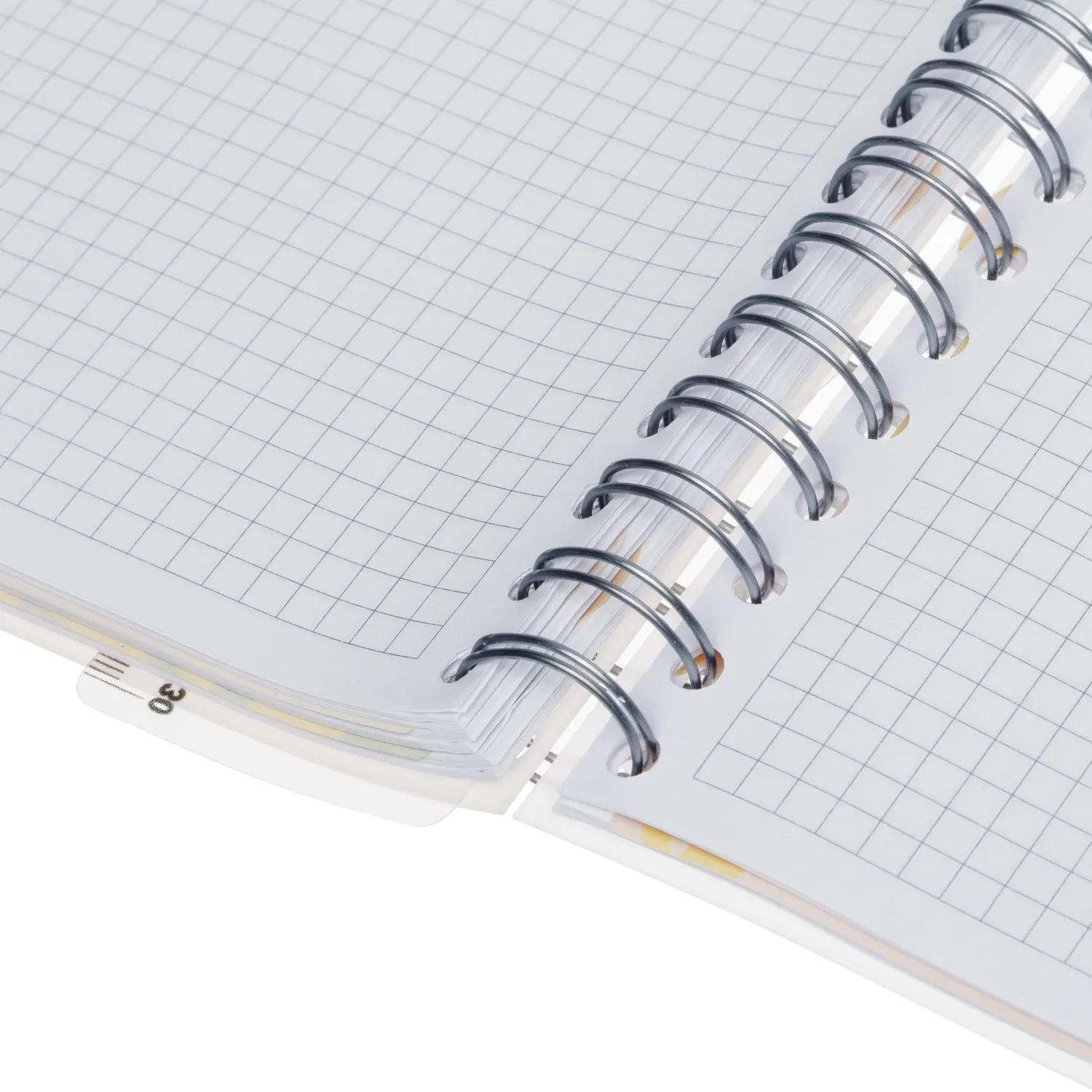 Бизнес-тетрадь 120л,клетка,А4 Flora 1,пласт.обл,серебр.спир,3раздел,линейка - фото 11