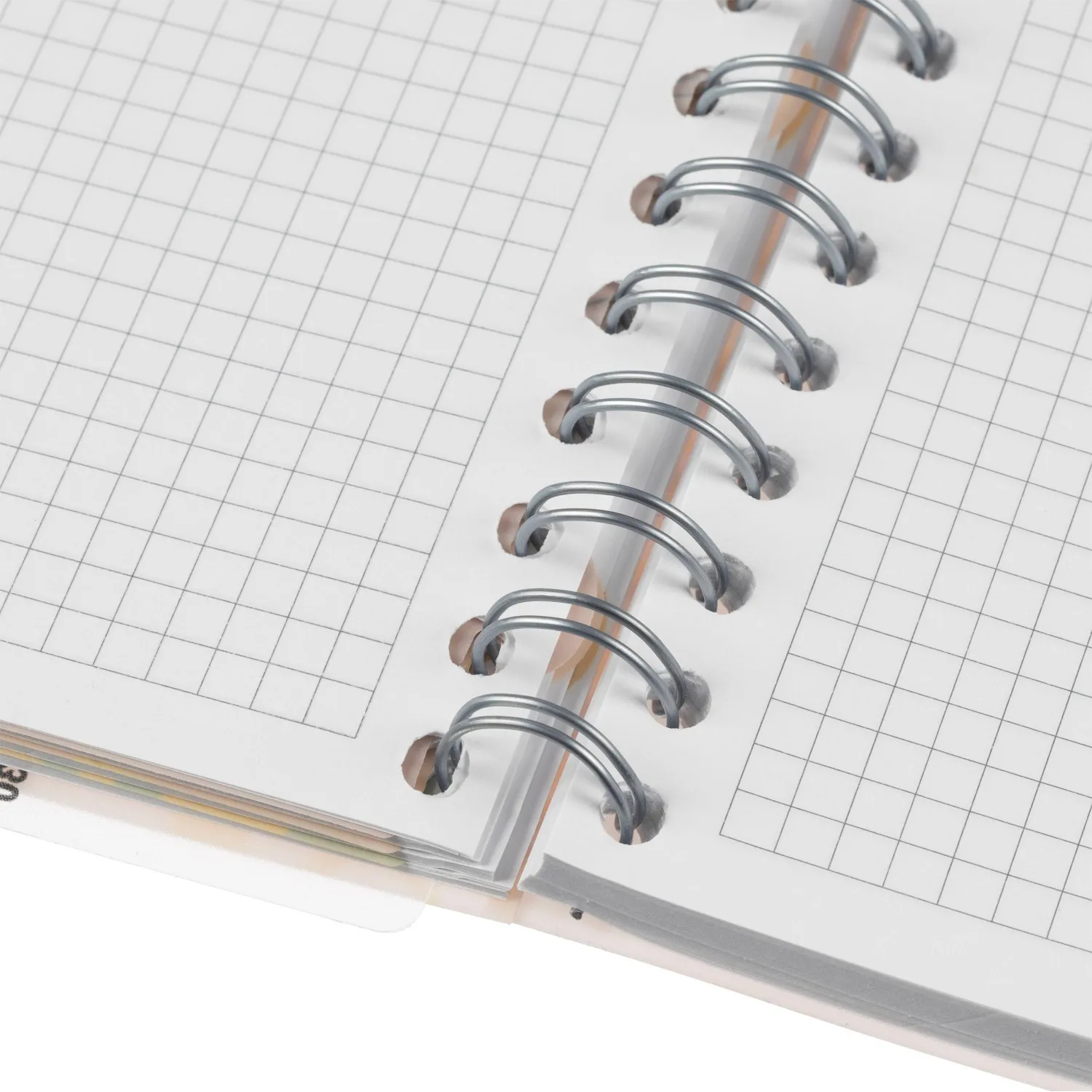 Бизнес-тетрадь 120л,клетка,А4 Flora 2,пласт.обл,серебр.спир,3раздел,линейка - фото 10