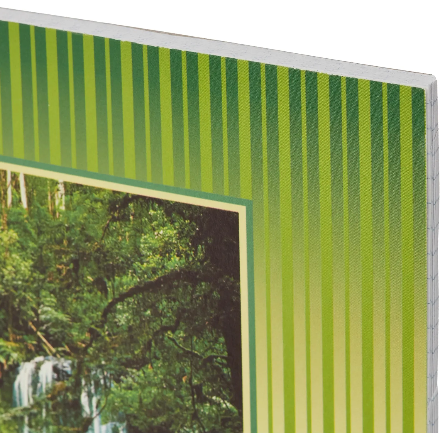 Тетрадь общая Attache,60л,клет,А5,спир,обл.мел.карт - фото 3