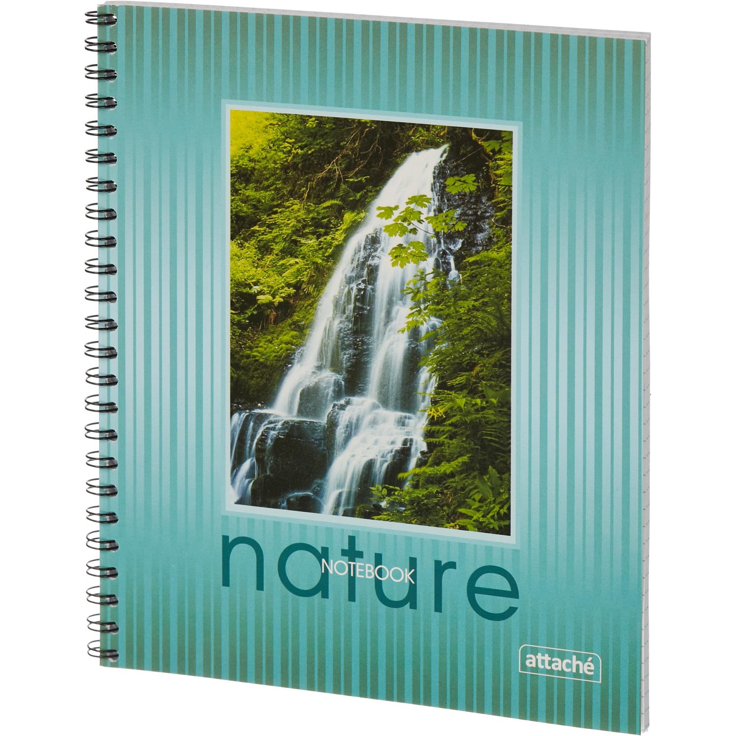 Тетрадь общая Attache,80л,клет,А5,спир,обл.мел.карт - фото 2