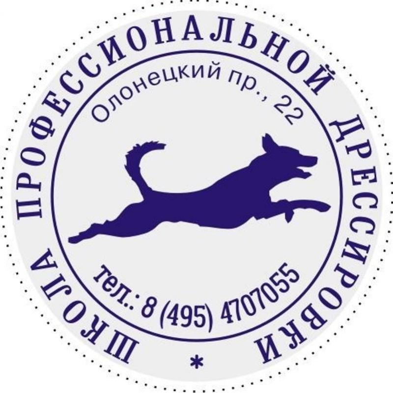 Оснастка для печати кругл. карман. Stamp Mouse R40 синяя Colop - фото 3
