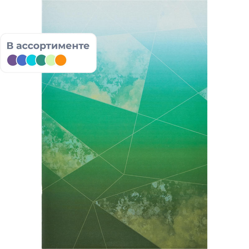Тетрадь общая А4,48л,кл,скоб,офсет-2 Ice син/зел - фото 1
