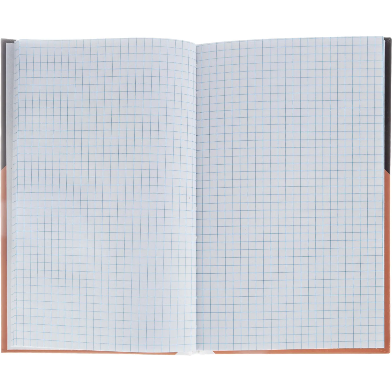 Бизнес-тетрадь А5,80л, 7БЦ,клетка Attache Economy Office Style коричн - фото 2