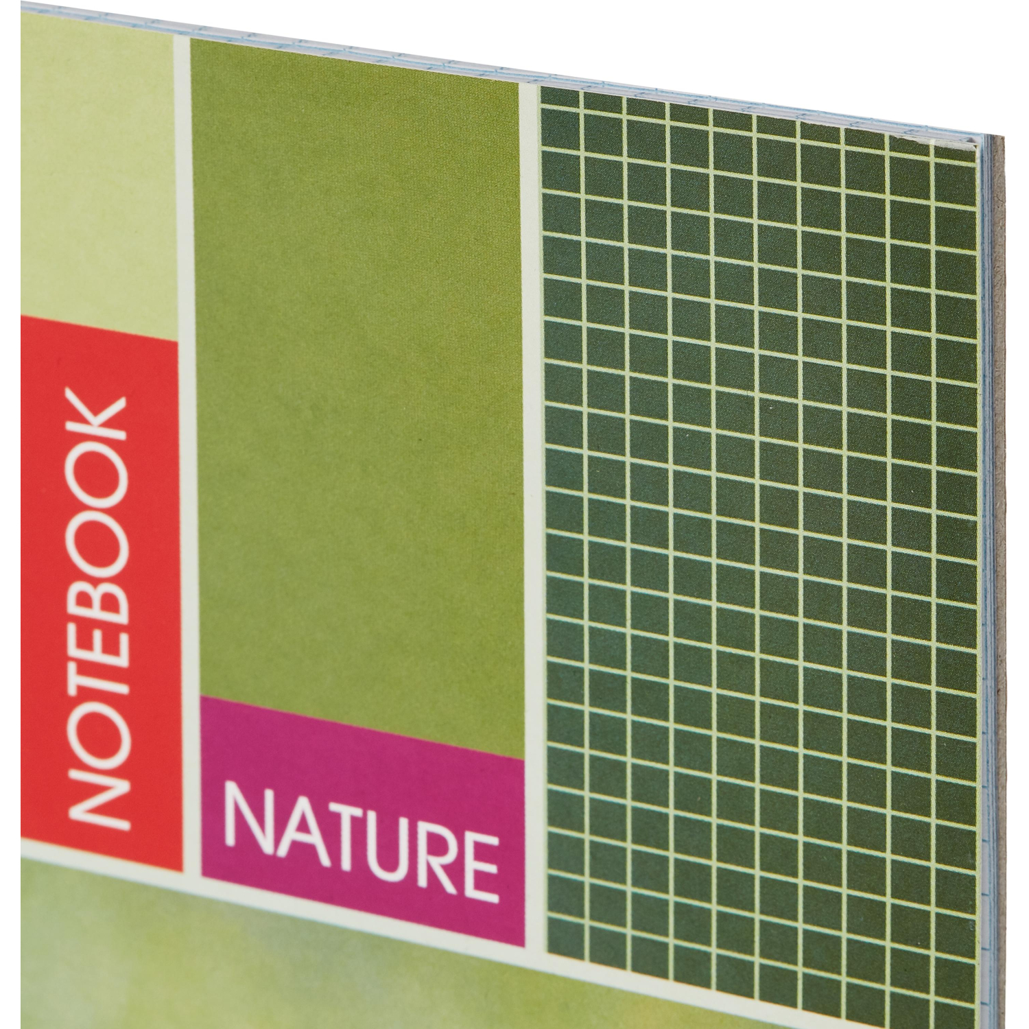 Тетрадь общая Attache,60л,клет,А4,спир,обл.мел.карт - фото 3