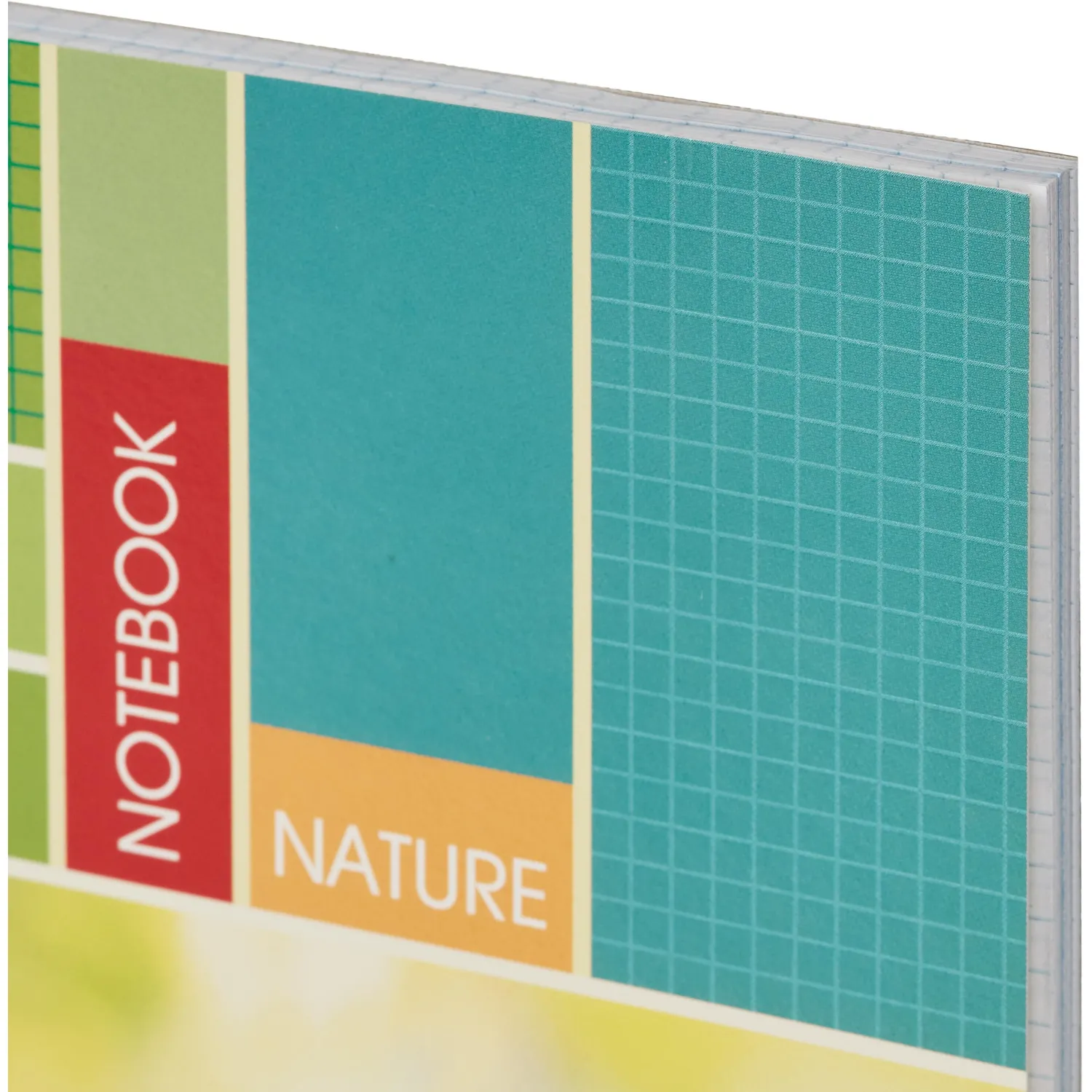 Тетрадь общая Attache,80л,клет,А4,спир,обл.мел.карт - фото 3