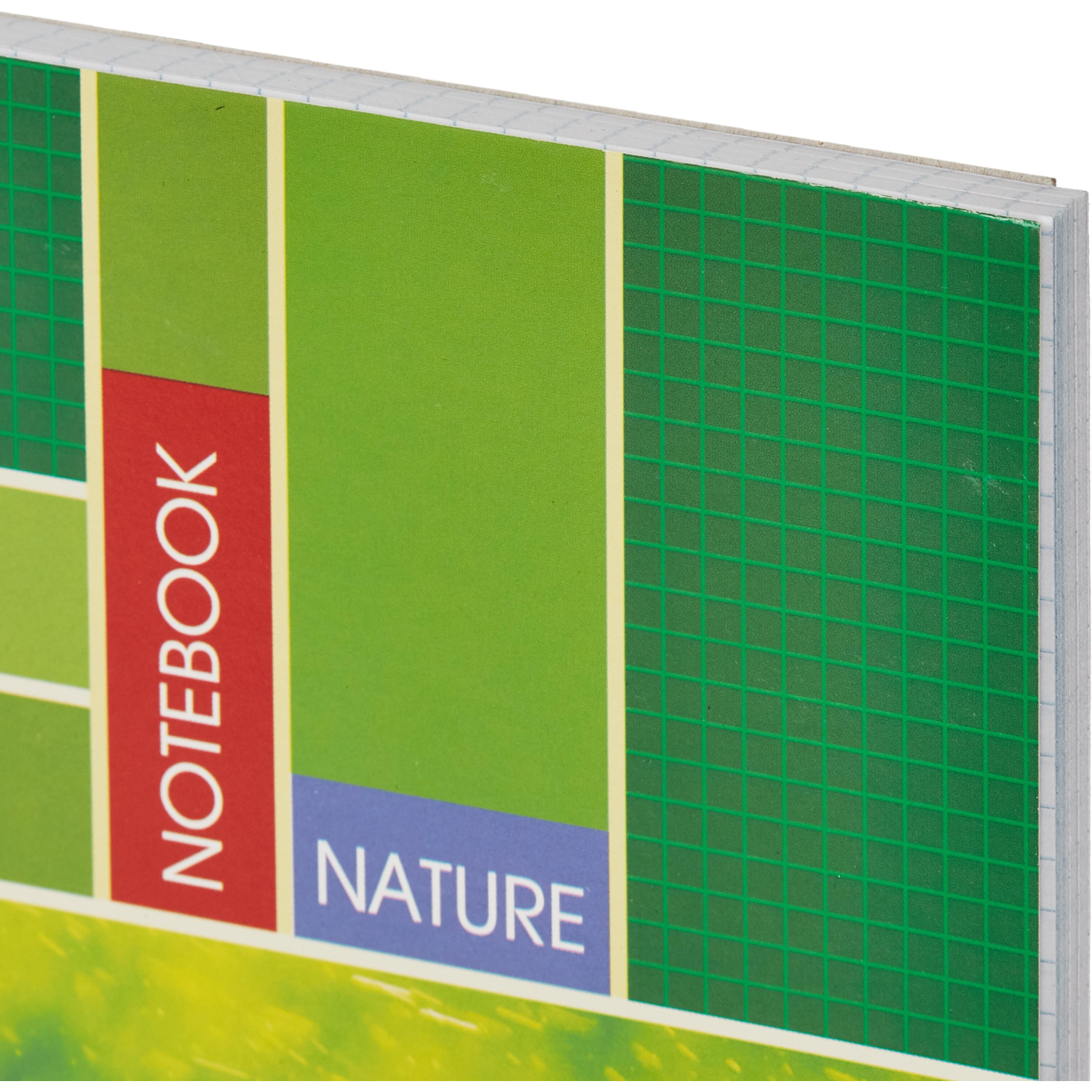 Тетрадь общая Attache,120л,клет,А4,спир,обл.мел.карт - фото 3