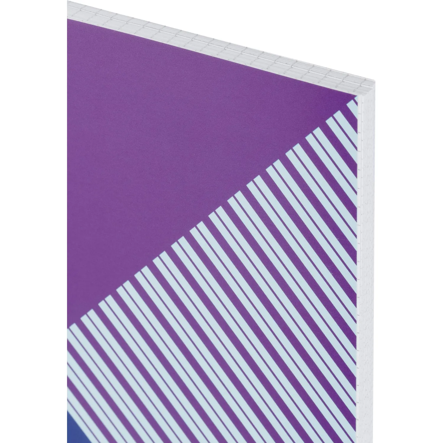 Бизнес-тетрадь А4,96л,обл.карт,греб,кл,Attache Economy,Office Style,синяя - фото 3