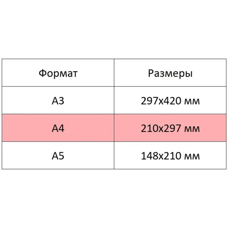 Альбом для рисования Kroyter А4 24л скл,бл.100г, Азбука,диз.в асс.64423 - фото 6