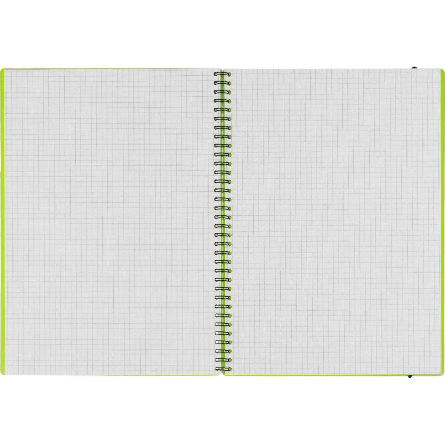 Бизнес-тетрадь Тетрадь Attache Neon А4 96л кл.спираль обл.пластик зеленый - фото 6