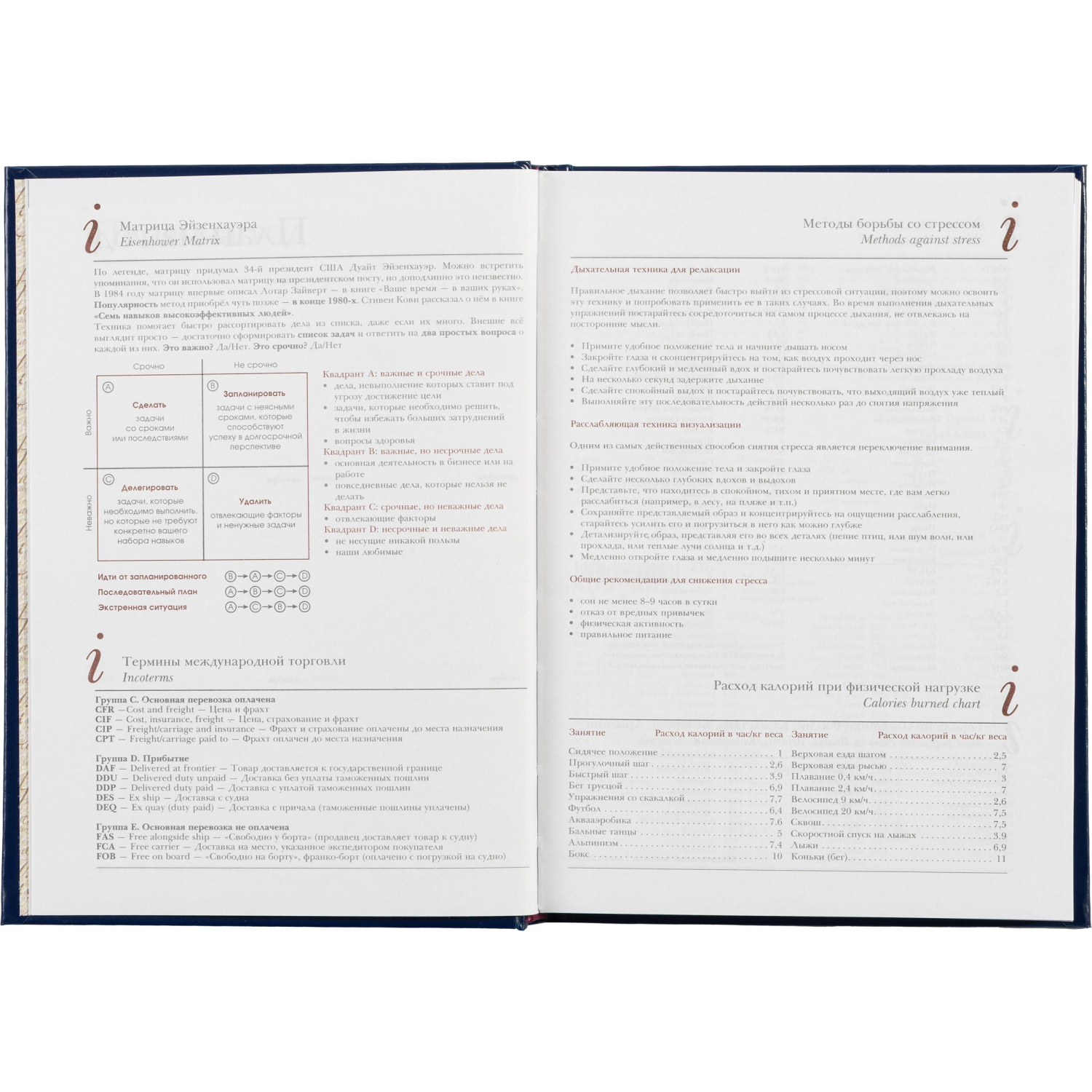 Ежедневник недатированный синий,А5,145х205мм,136л,Ideal 3-122/05 - фото 11