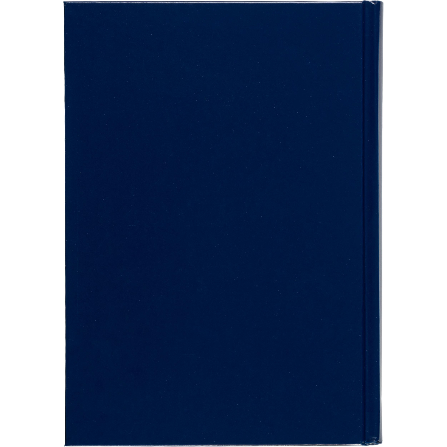 Ежедневник недатированный синий,А5,145х205мм,136л,Ideal 3-122/05 - фото 18