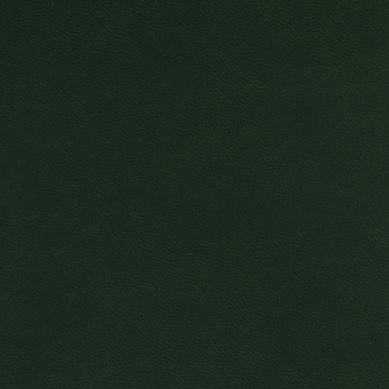 Ежедневник недатированный А5+ Velvet, темно-зеленый 3-115/24 - фото 6