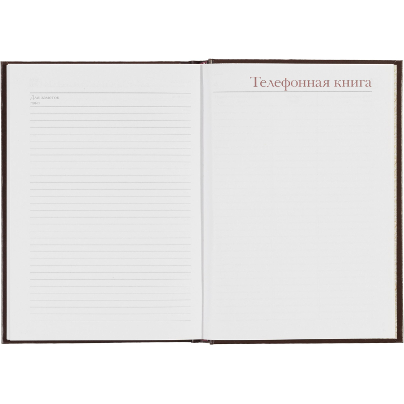 Ежедневник недатированный А5+ Ideal, коричневый 3-122/02 - фото 18