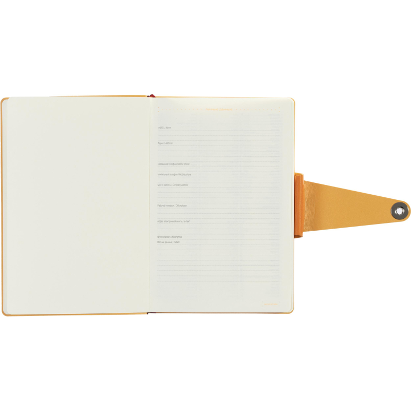 Ежедневник недатированный А5 Primavera, оранжевый 3-536/03 - фото 9