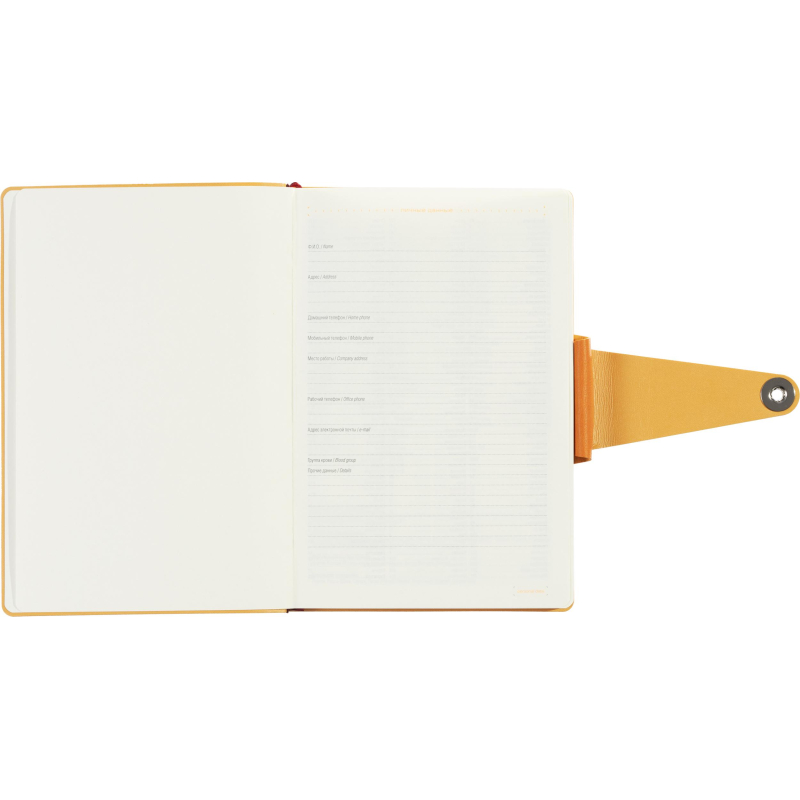 Ежедневник недатированный А5 Primavera, оранжевый 3-536/03 - фото 10