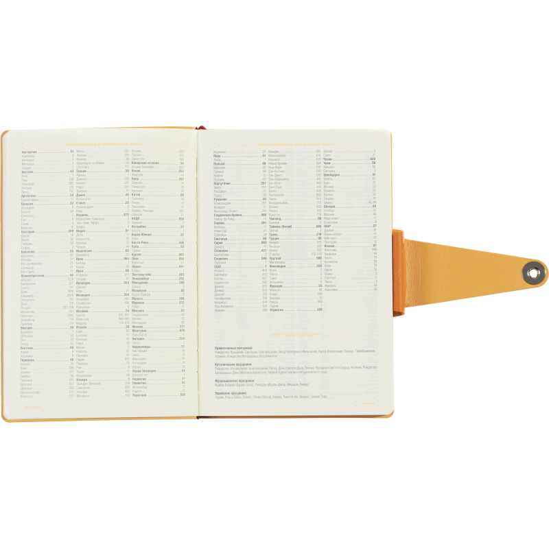 Ежедневник недатированный А5 Primavera, оранжевый 3-536/03 - фото 11