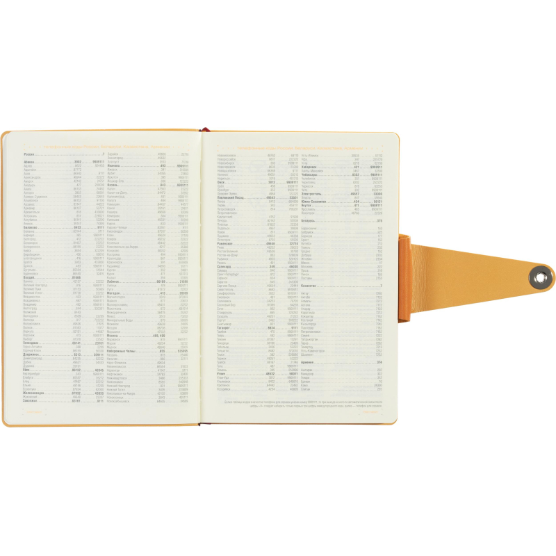 Ежедневник недатированный А5 Primavera, оранжевый 3-536/03 - фото 12