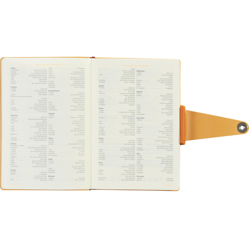 Ежедневник недатированный А5 Primavera, оранжевый 3-536/03 - фото 15