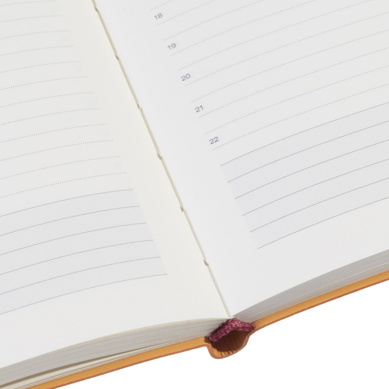 Ежедневник недатированный А5 Primavera, оранжевый 3-536/03 - фото 21