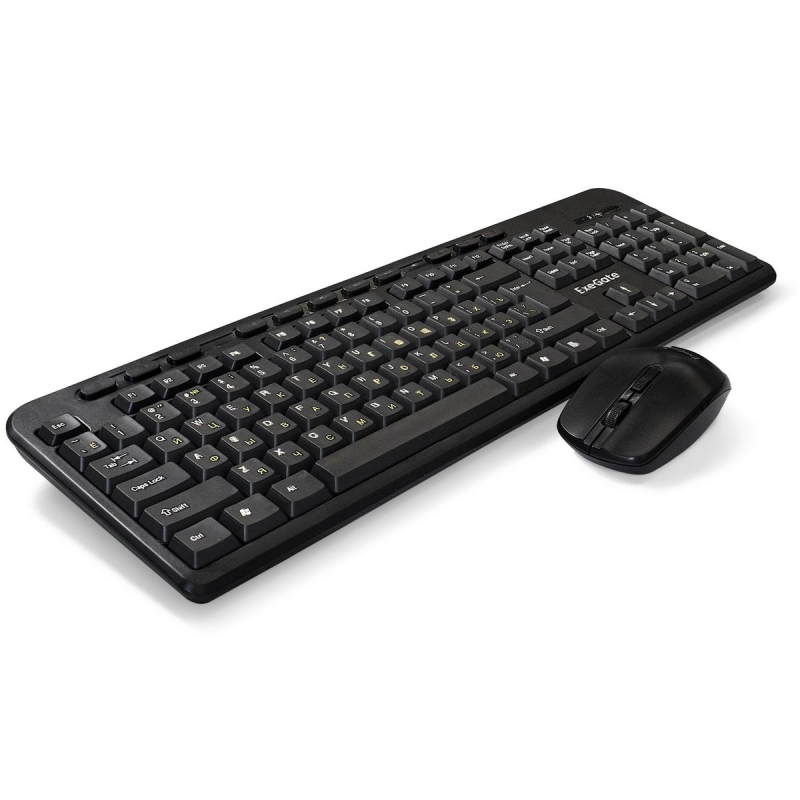 Набор клавиатура+мышь ExeGate Professional Combo MK240 черный(EX286220RUS) - фото 1