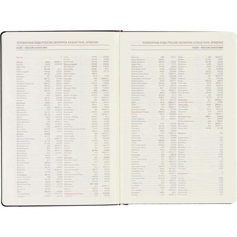 Ежедневник недатированный А5 MARSEILLE (черн) 3-215/02 - фото 11