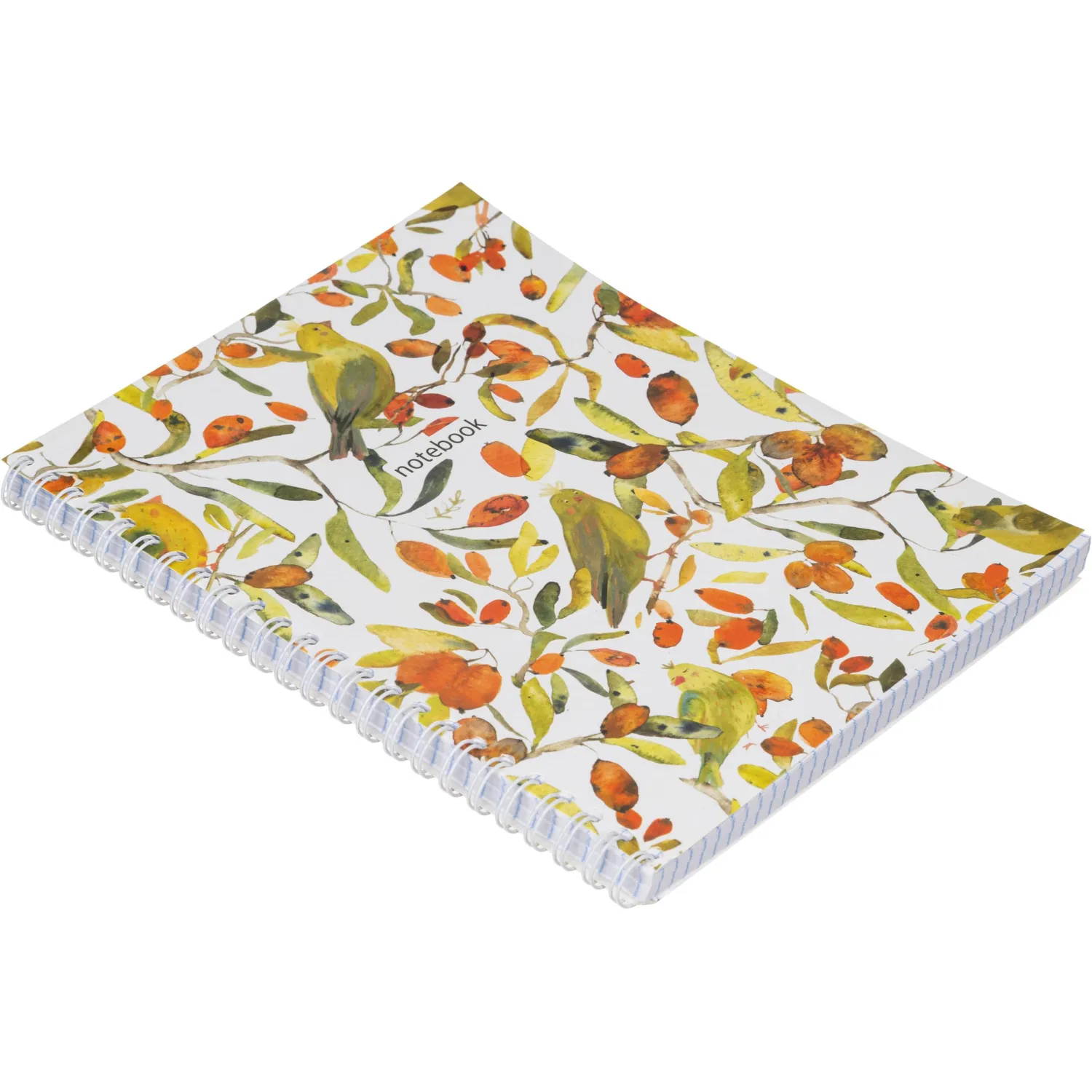 Бизнес-тетрадь Принты А5 96л, клетка, обл. мел. картон, спираль,Птицы - фото 4