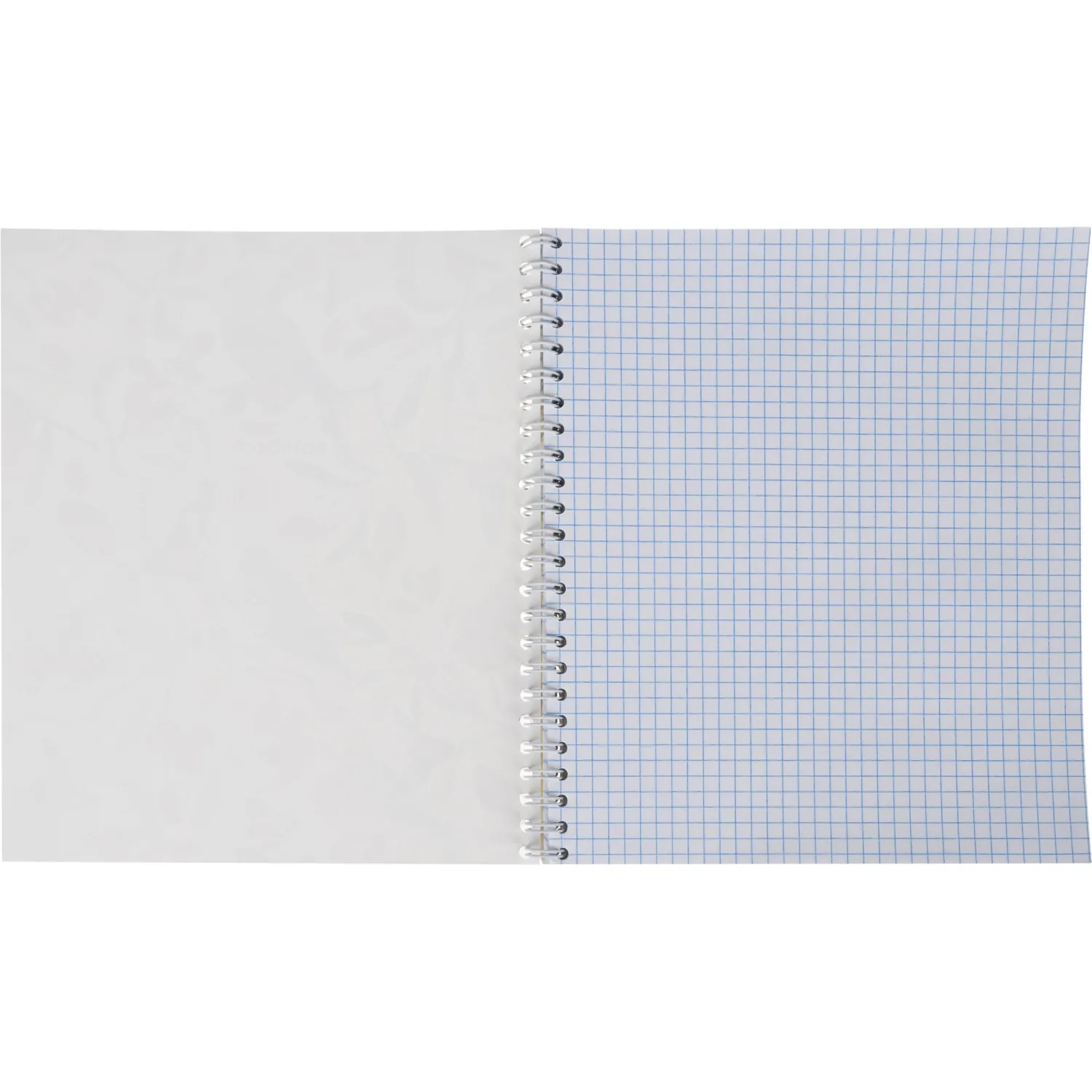 Бизнес-тетрадь Принты А5 96л, клетка, обл. мел. картон, спираль,Птицы - фото 5