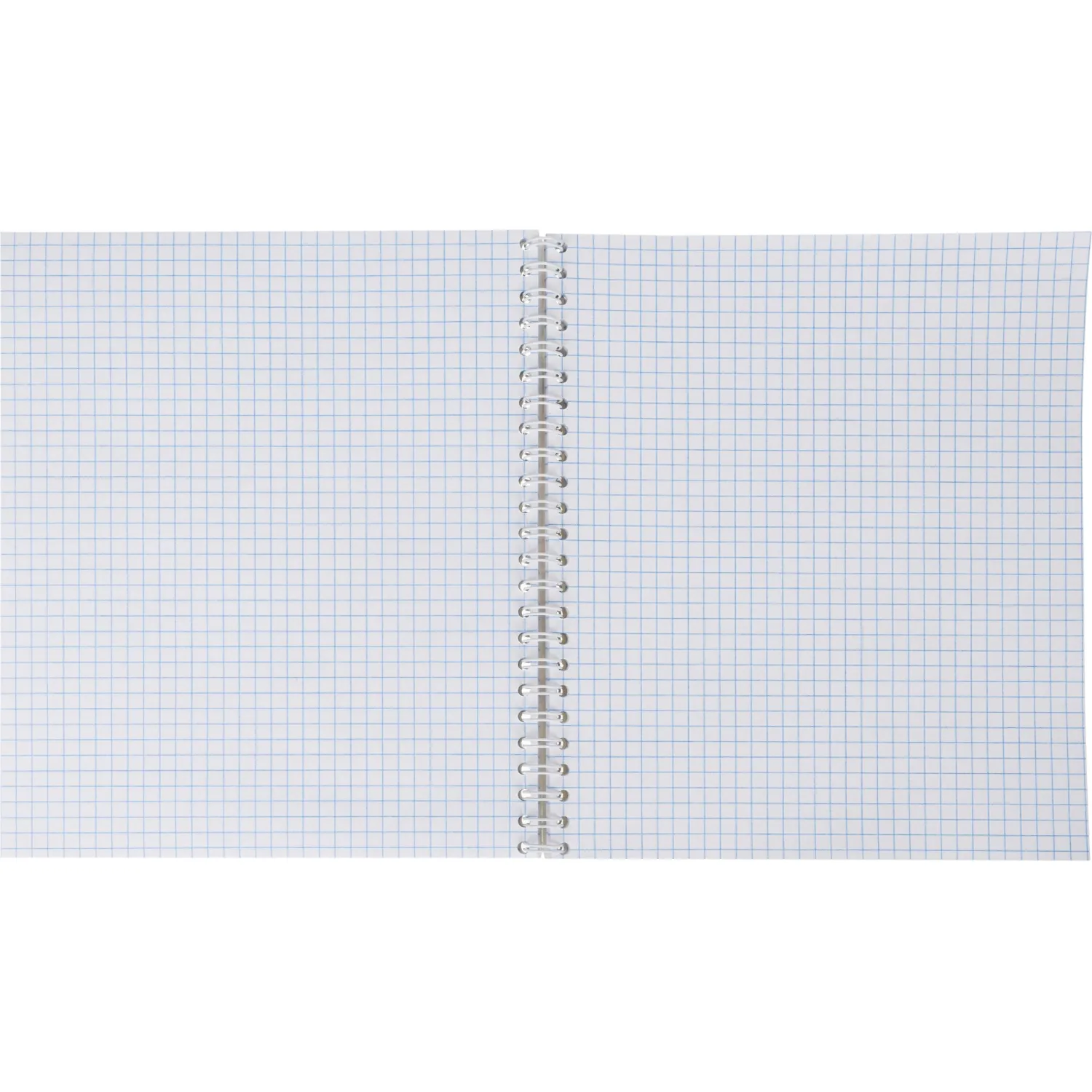 Бизнес-тетрадь Принты А5 96л, клетка, обл. мел. картон, спираль,Птицы - фото 6