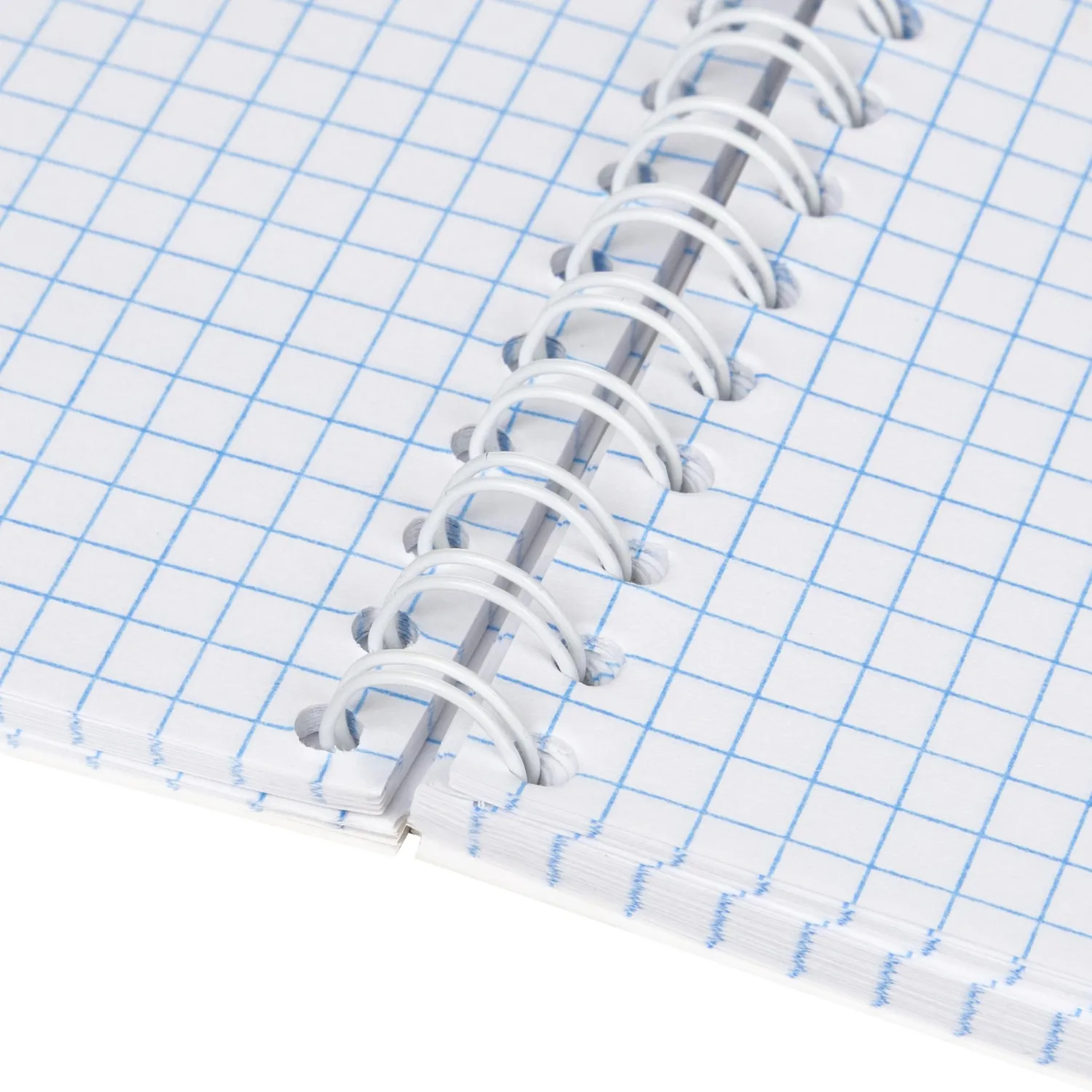 Бизнес-тетрадь Принты А5 96л, клетка, обл. мел. картон, спираль,Птицы - фото 8