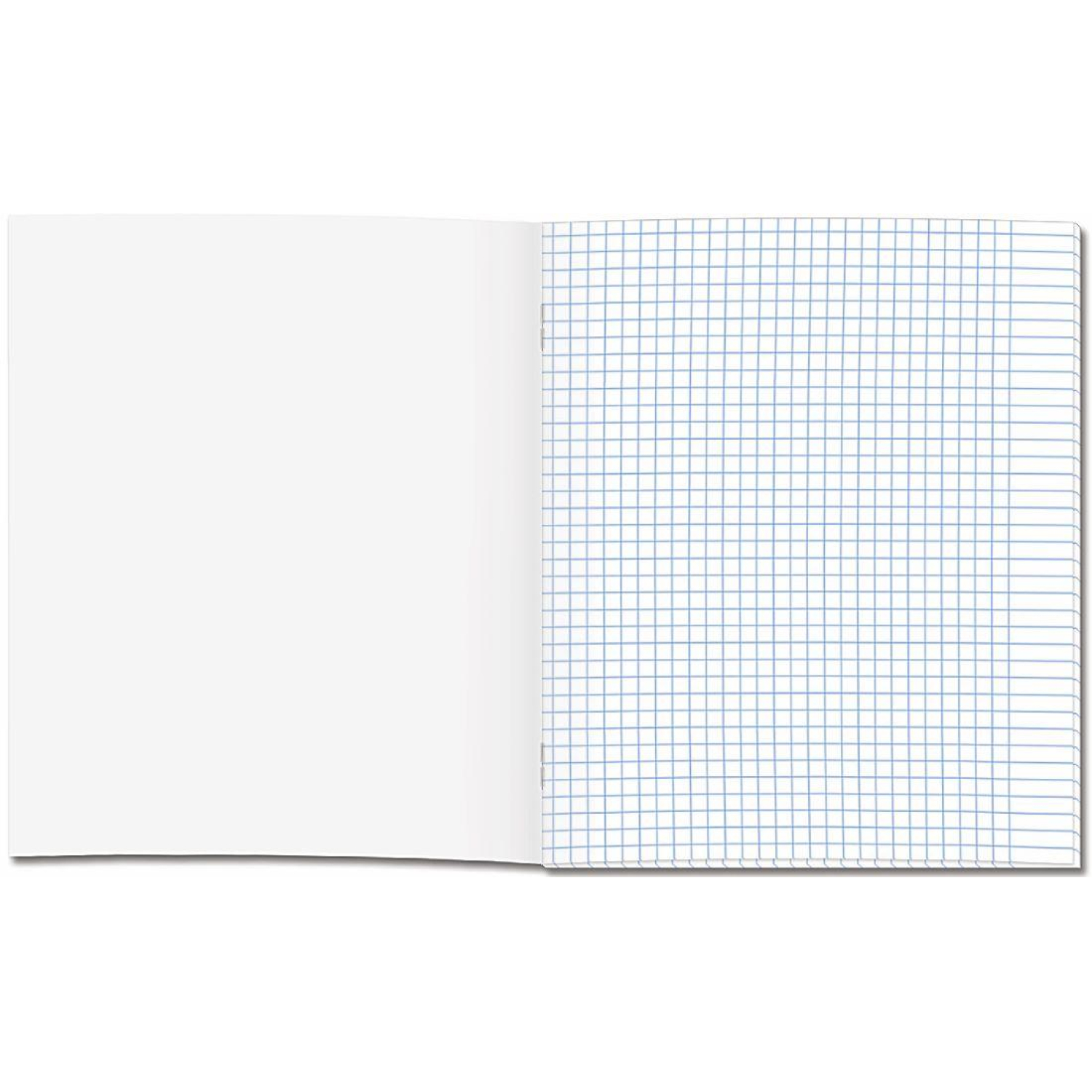 Бизнес-тетрадь Принты А5 48л, клетка, обл. мел. картон, скрепка,Цветы - фото 2