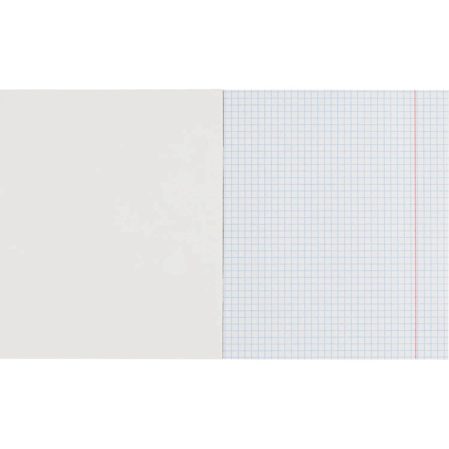 Бизнес-тетрадь Принты А5 48л, клетка, обл. мел. картон, скрепка,Цветы - фото 5