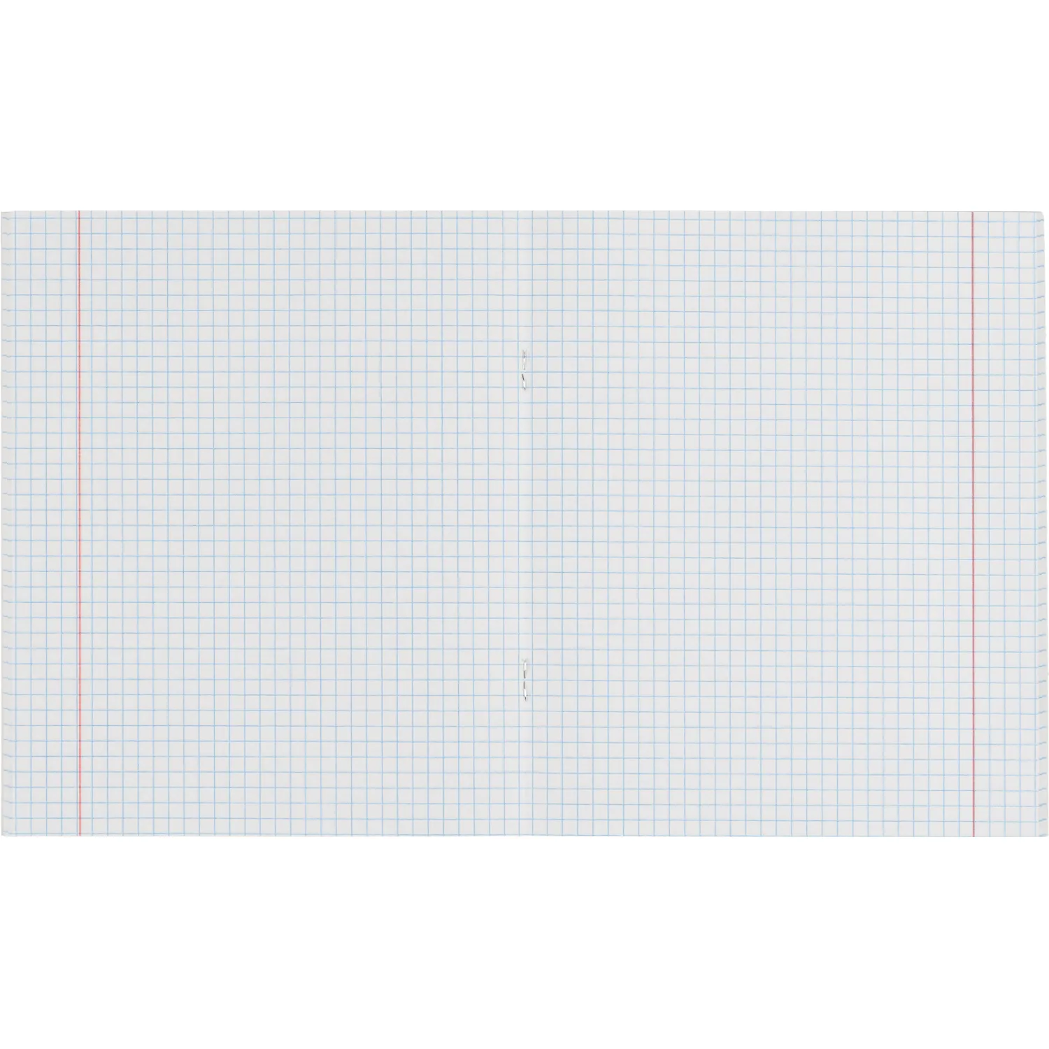 Бизнес-тетрадь Принты А5 48л, клетка, обл. мел. картон, скрепка,Цветы - фото 6