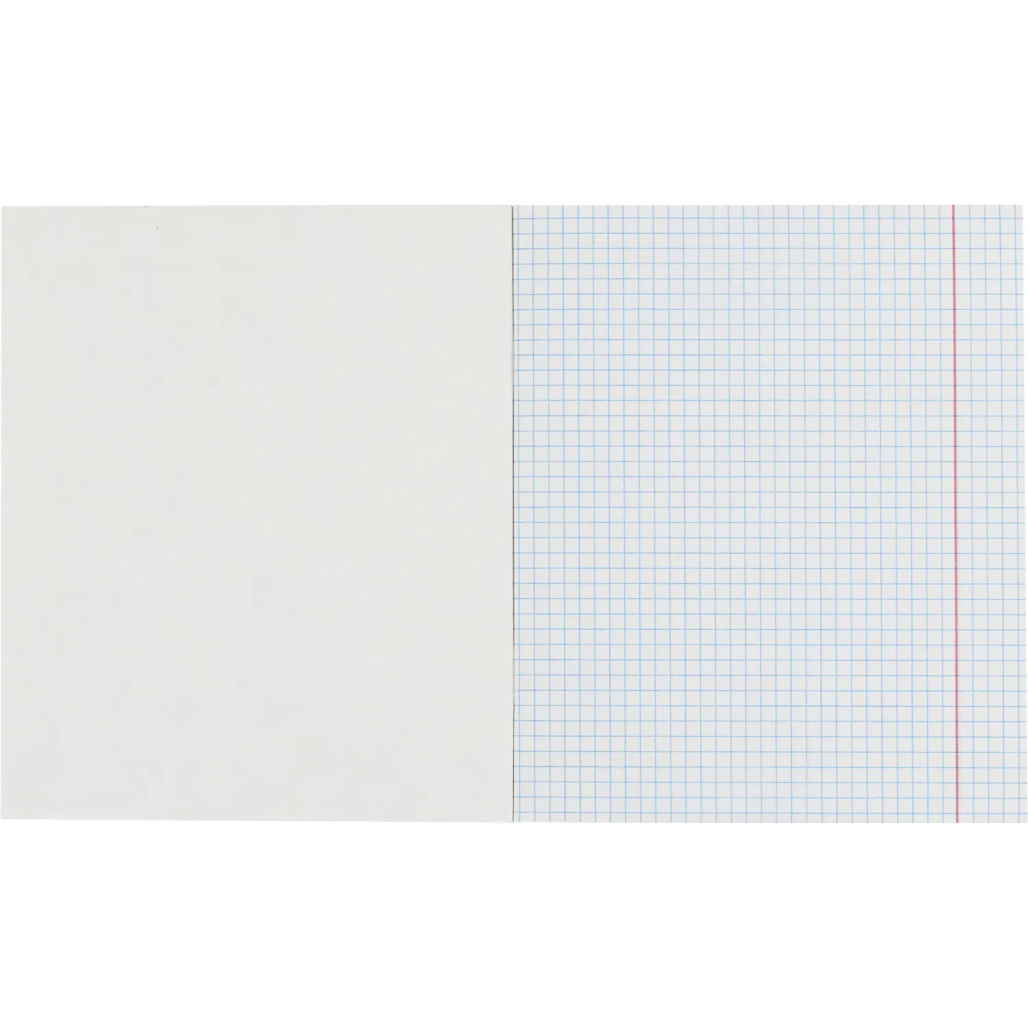 Бизнес-тетрадь Принты А5 48л, клетка, обл. мел. картон, скрепка,птицы - фото 5