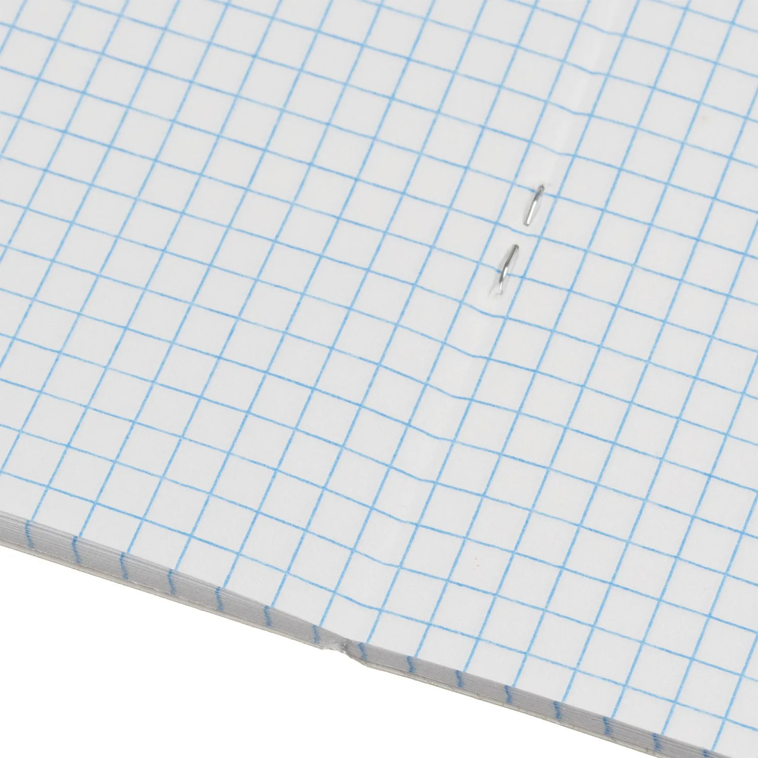 Бизнес-тетрадь Принты А5 48л, клетка, обл. мел. картон, скрепка,птицы - фото 7