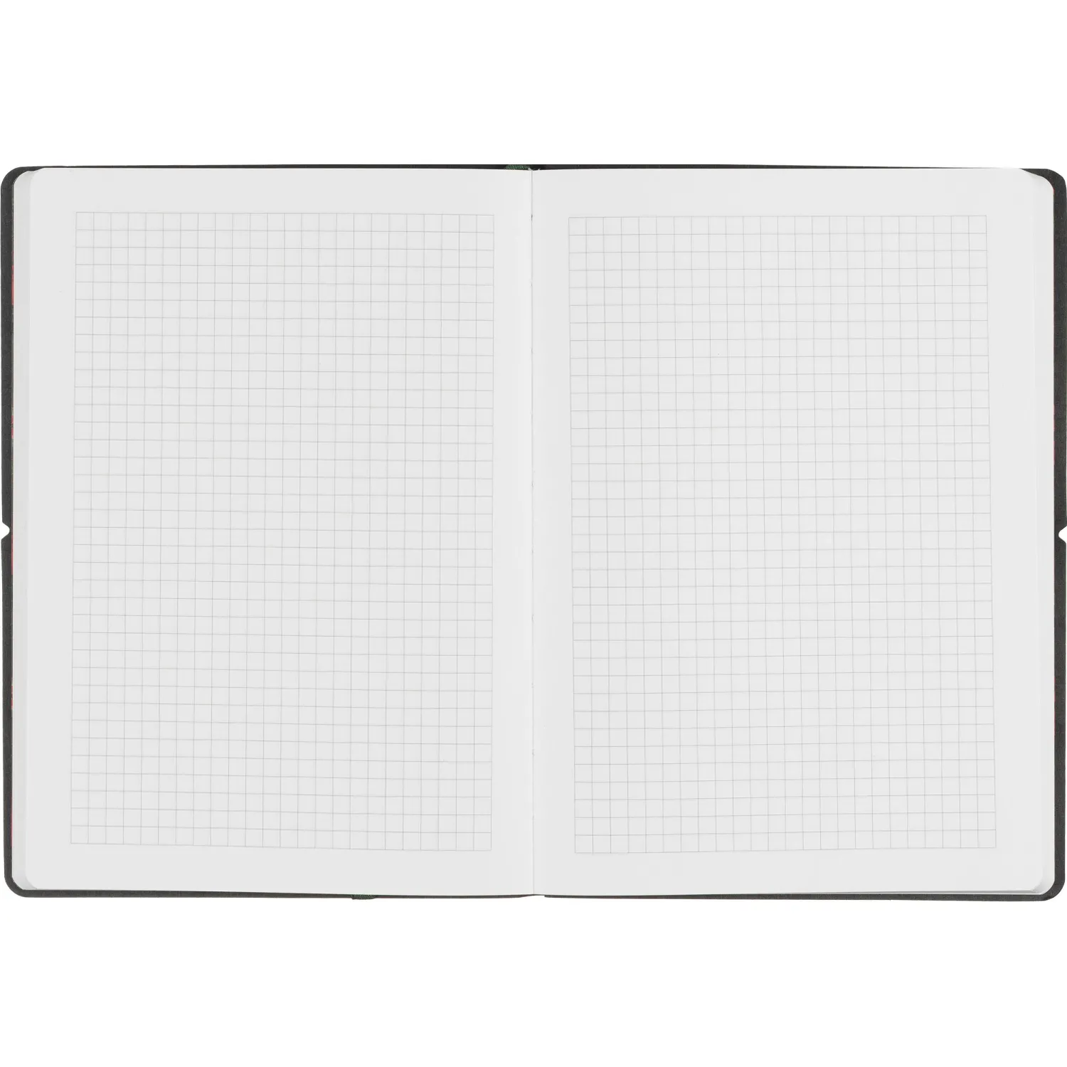 Блокнот Папоротники А5, 128л, клетка, обложка экокожа, с резинкой - фото 7