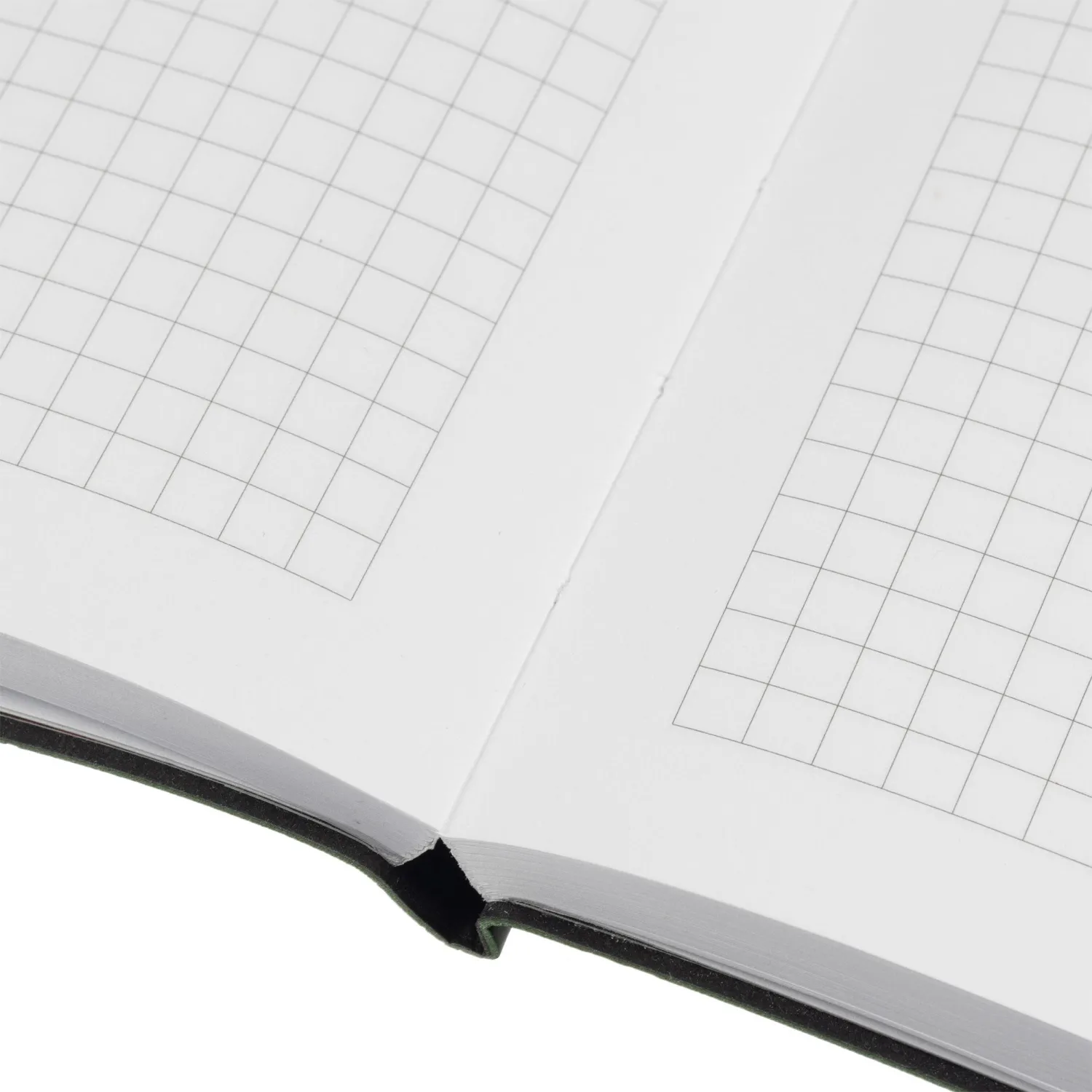 Блокнот Папоротники А5, 128л, клетка, обложка экокожа, с резинкой - фото 9