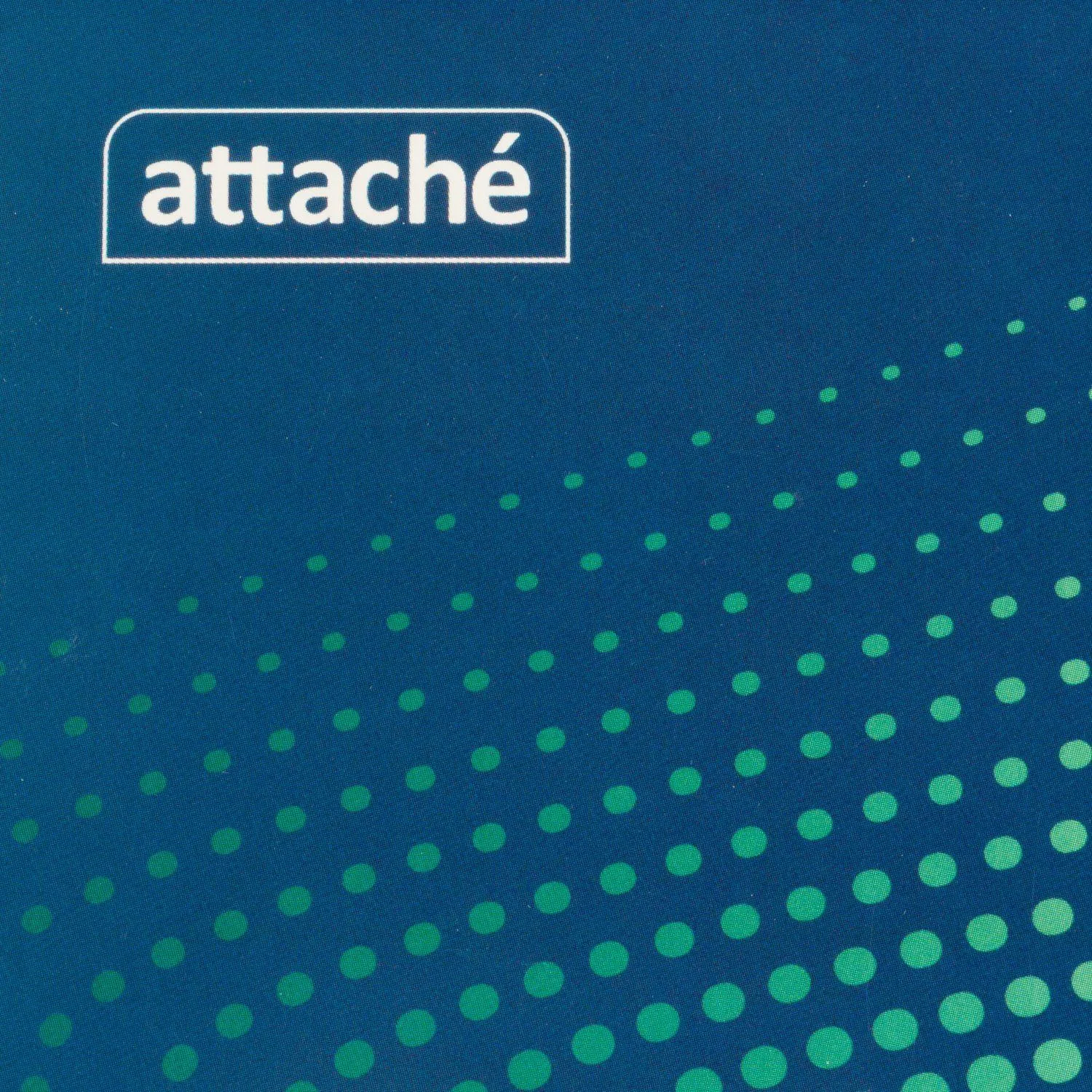 Блокнот А4,60л,клетка,метал.гребень,цв.обложка Forma - фото 9