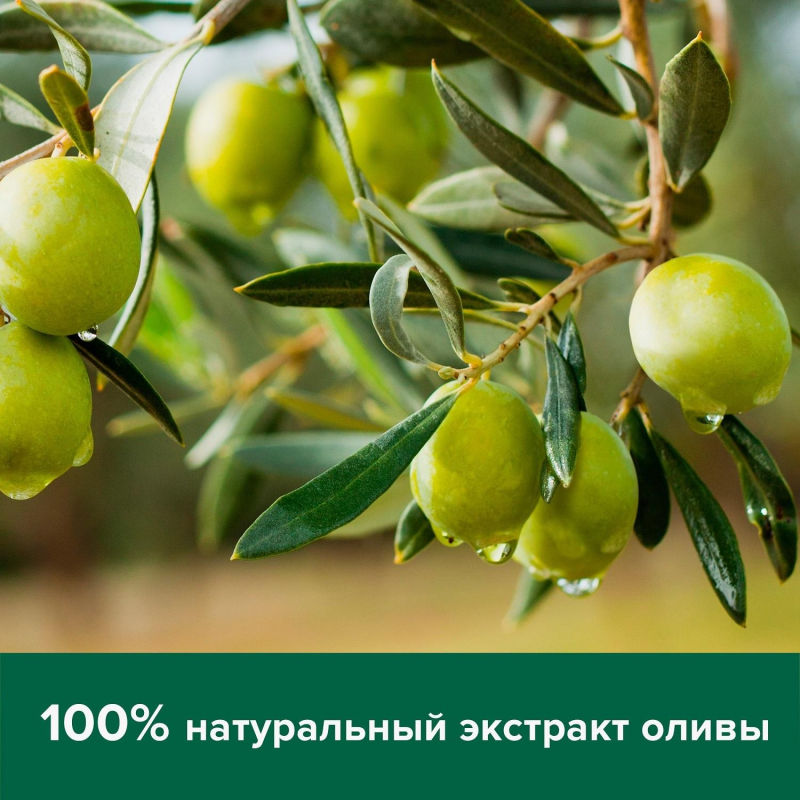 Мыло жидкое Palmolive Натурэль Интенсивное увлажнение запас. блок, 650мл - фото 5