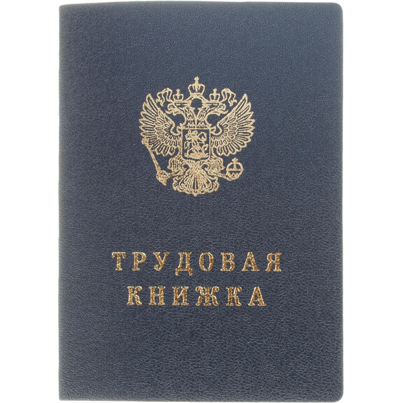 Бланк Трудовая книжка (новый 2023г) - фото 1