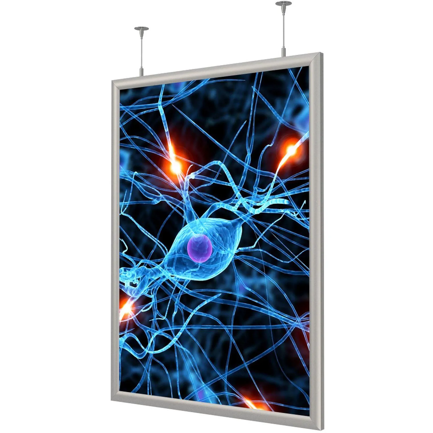 Панель световая  Frame LED 1стор тросы А3+(327х450)раз.пл.297х420 дерев.к - фото 2