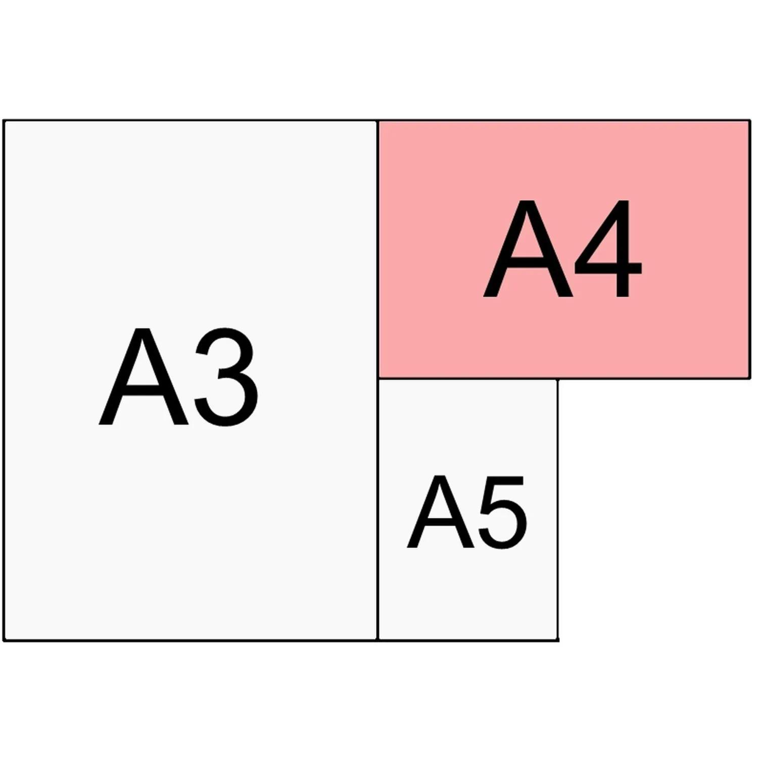 Альбом для рисования Kroyter А4 40л склейка,Аnimals,2диз,66137 - фото 14