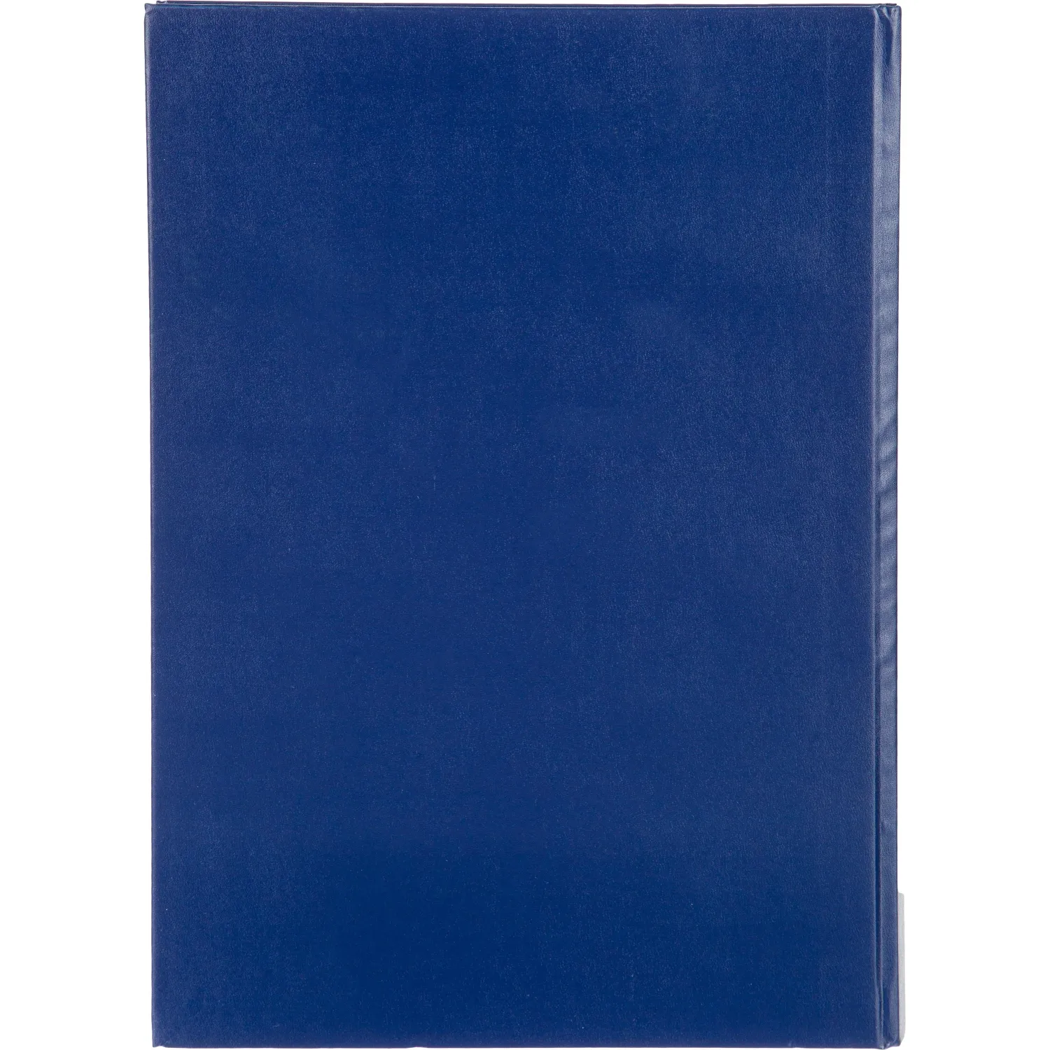 Журнал учета для розничной торговли Attache А4,блок офсет 96л бумвинил - фото 5