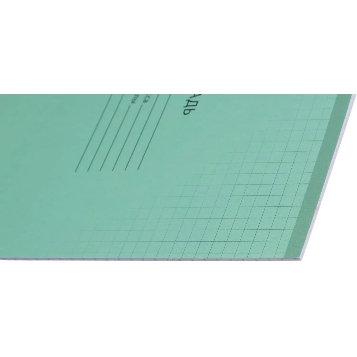 Тетрадь школьная А5,12л,клетка, Выбор есть зеленый 20шт/уп - фото 3