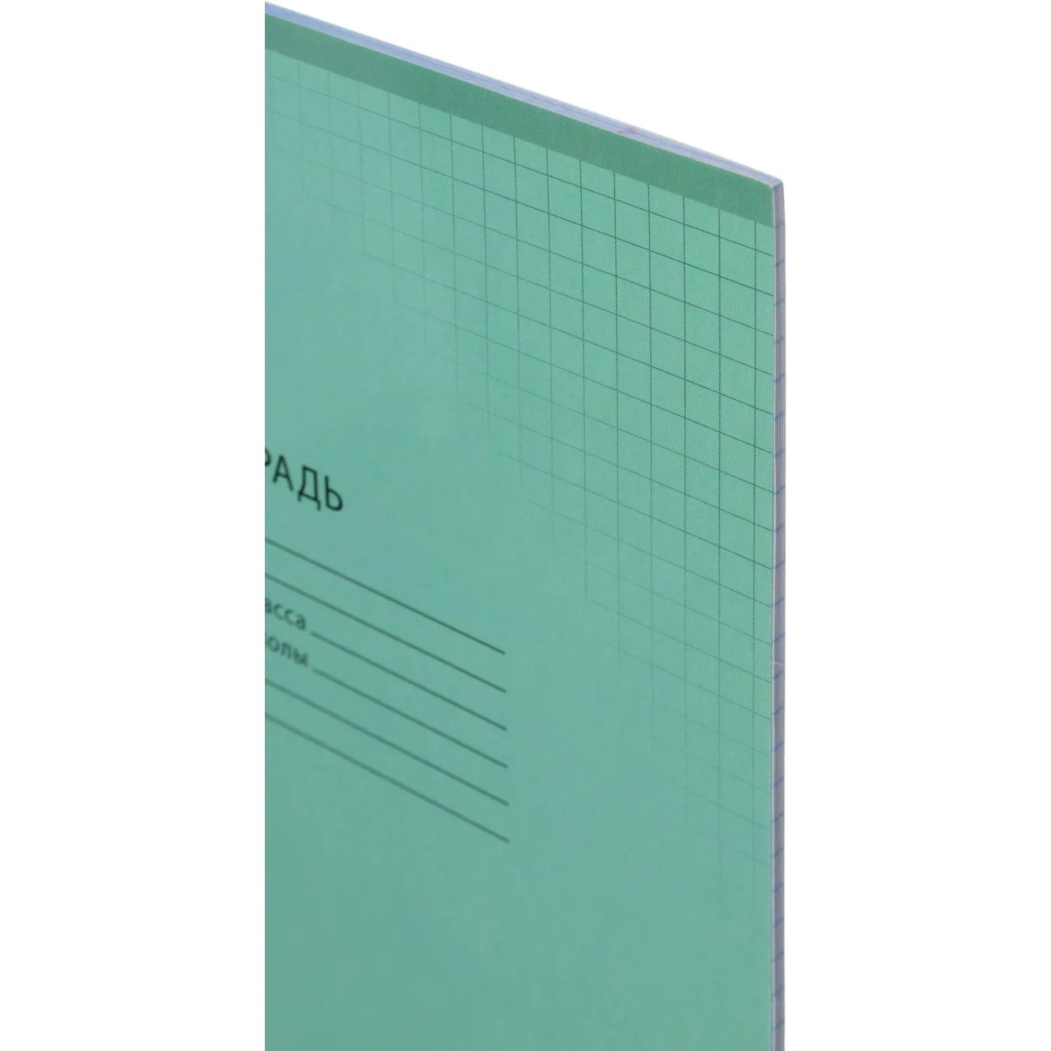 Тетрадь школьная А5, 18л клетка, Выбор есть зеленый 20шт/уп - фото 3