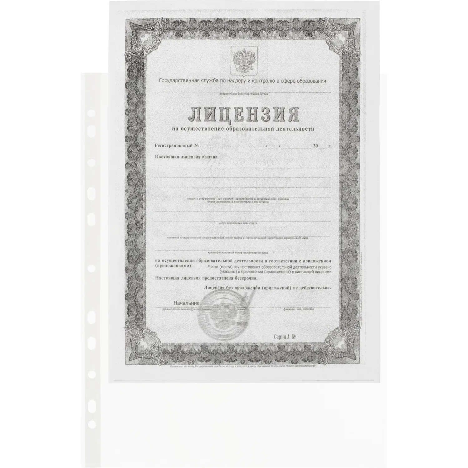 Файл-вкладыш А4, 45мкм, рифленые     100 шт/уп - фото 3