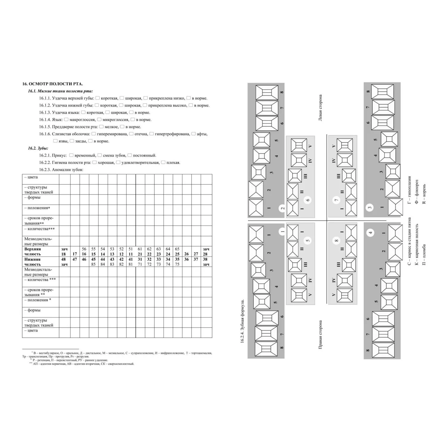 Бланк Карта медицинская ортодонт.пациента, форма № 043-1/у,КЖ-1173,5шт/уп - фото 3