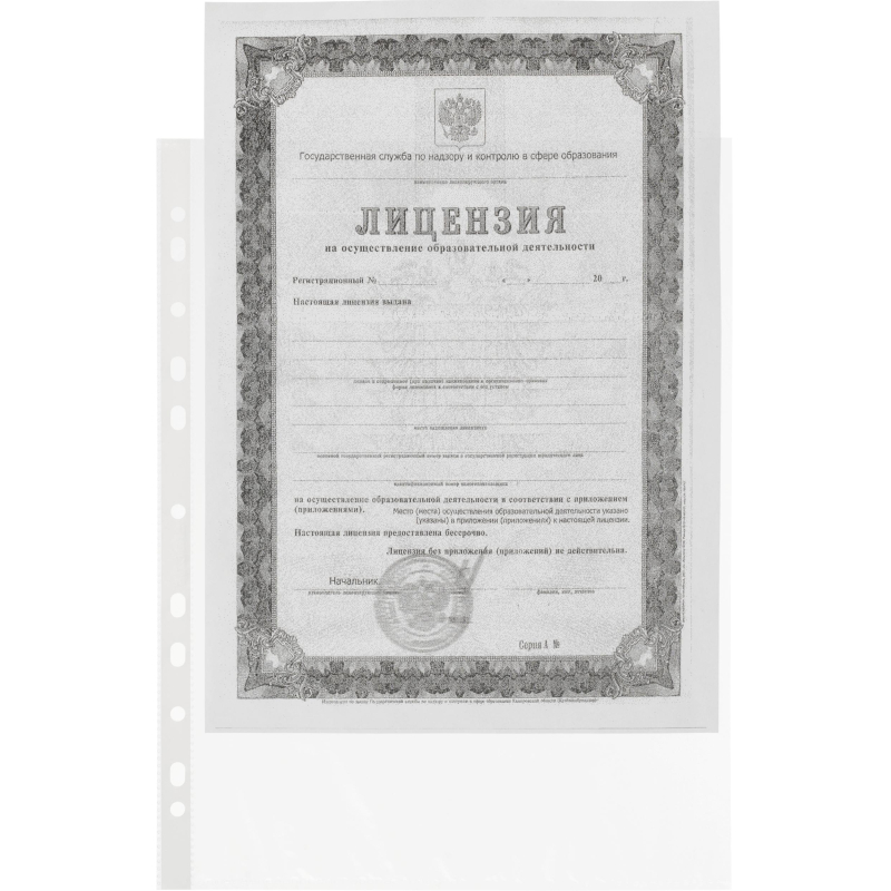 Файл-вкладыш А4, 30мкм, рифленые Attache Eсonomy, 100 шт/уп, Китай - фото 3