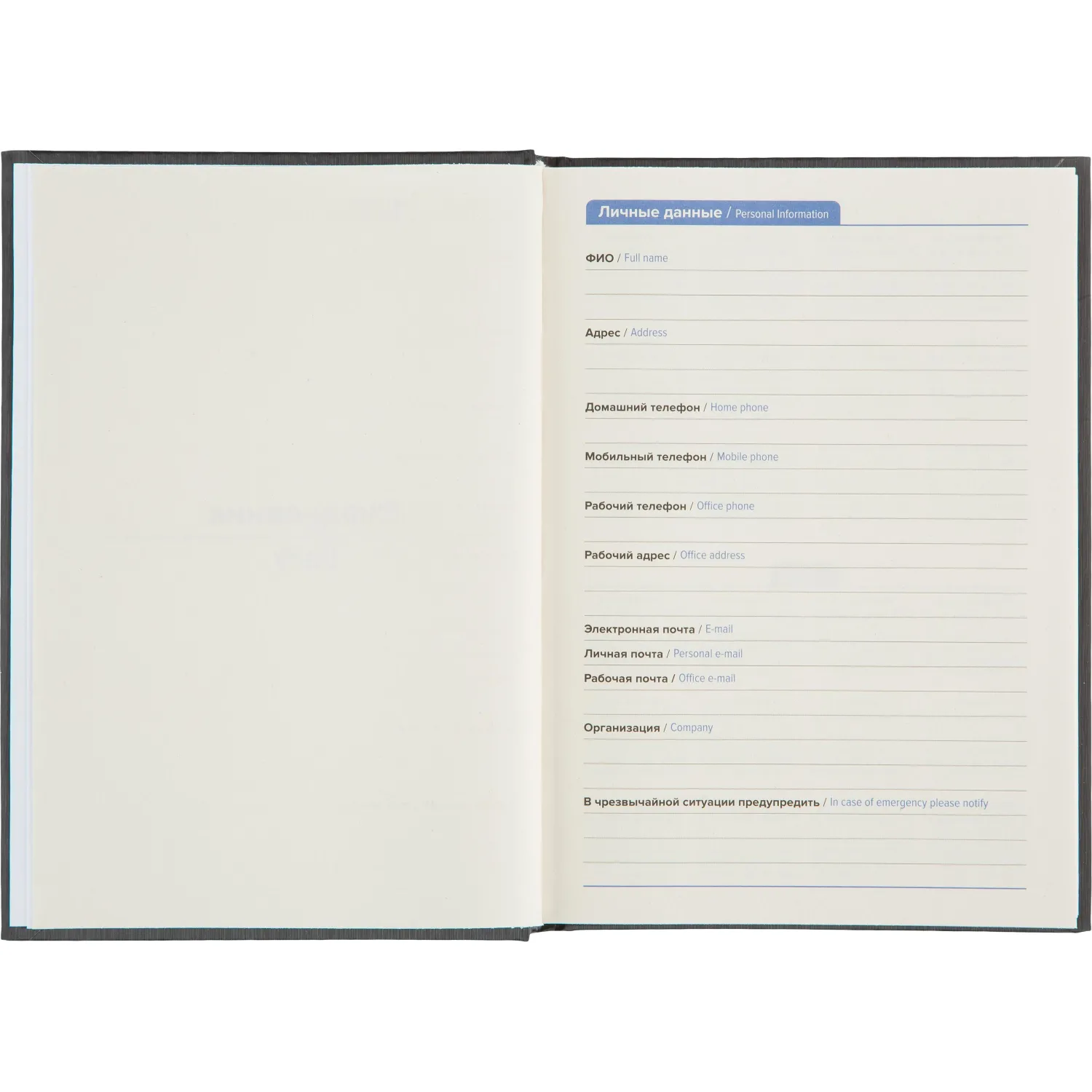 Ежедневник недатированный Attache Rain, А5, 160 л, черный - фото 8